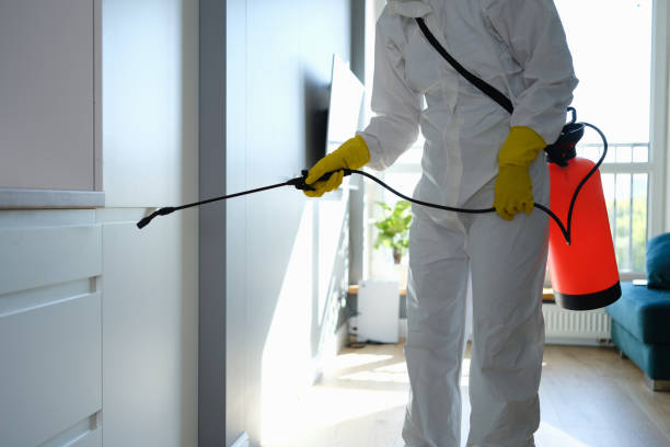 Water Damage Restoration in West Liberty, KY